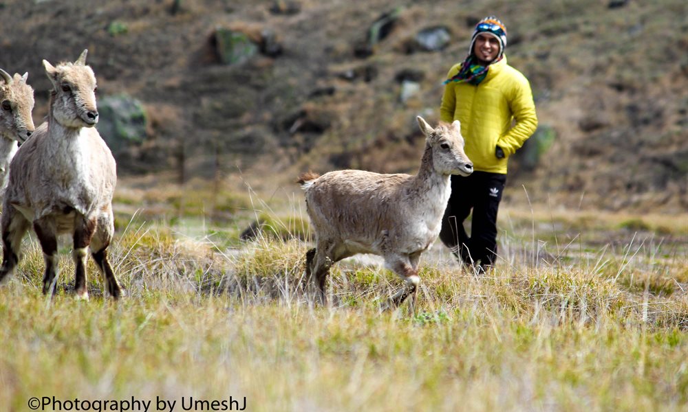 A Breath-Taking Journey to Gangotri - Gomukh - Tapovan