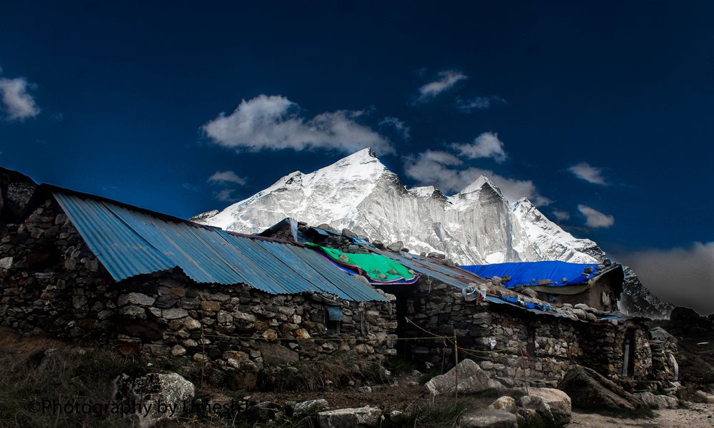 A Breath-Taking Journey to Gangotri - Gomukh - Tapovan