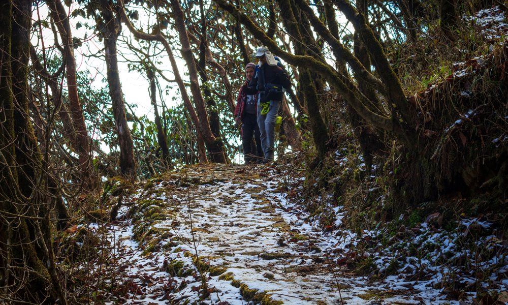 In search of the Kanchenjunga