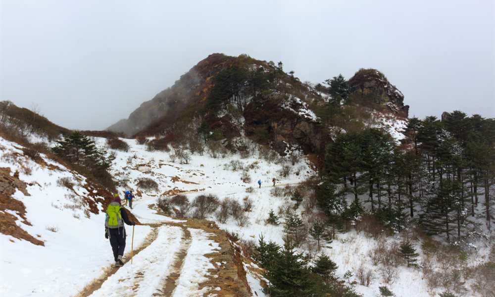 In search of the Kanchenjunga
