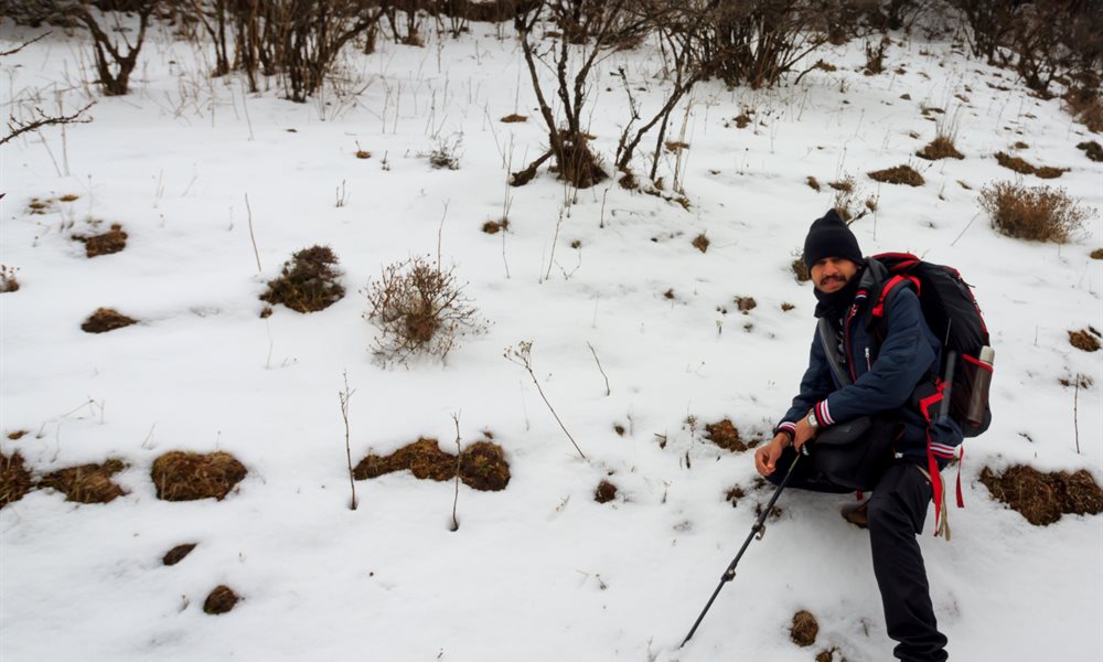 In search of the Kanchenjunga