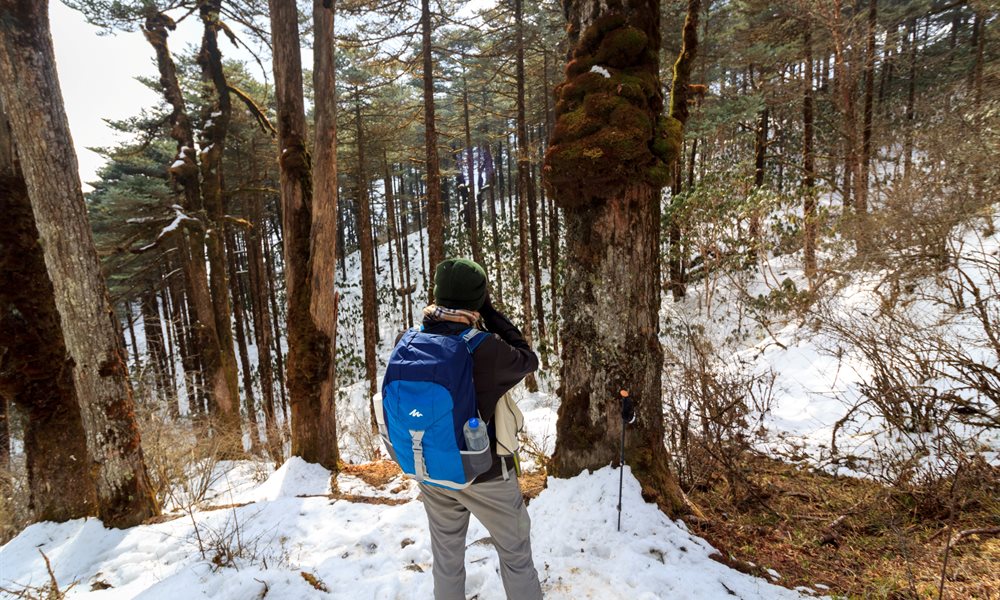 In search of the Kanchenjunga