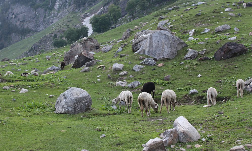 Hampta Pass trek: Paradise on Earth