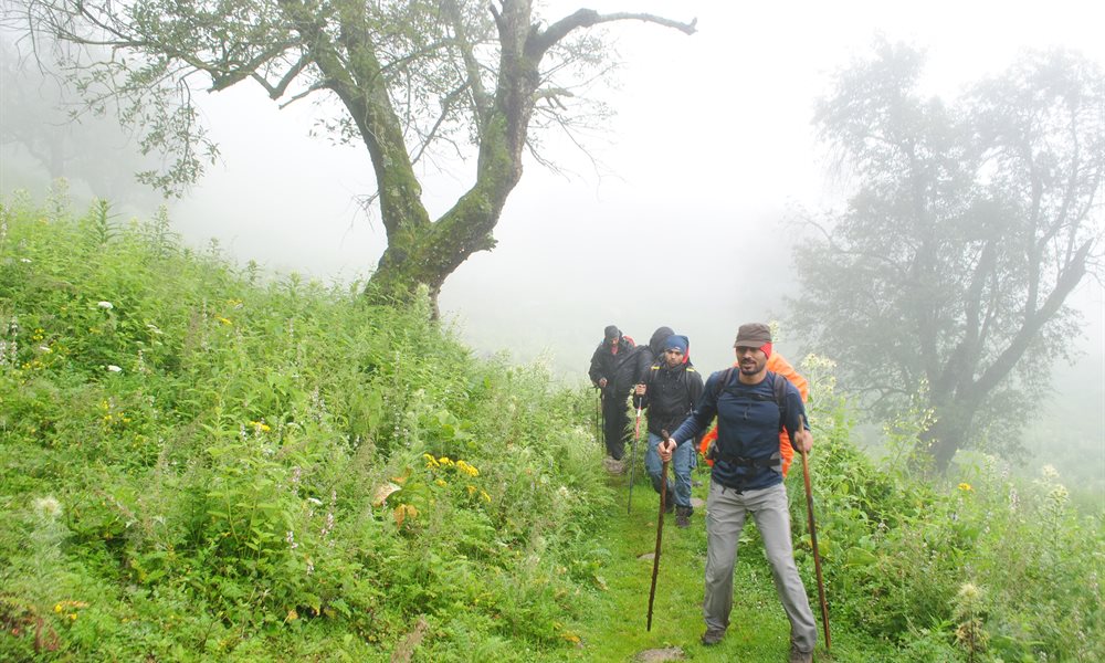 How to use a Trekking Pole : Benefits & Precautions