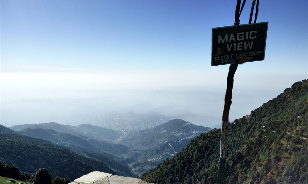 In Search Of Myself - A Photo Story About My Solo Hike To Triund--Snowline--Indrahar Pass 