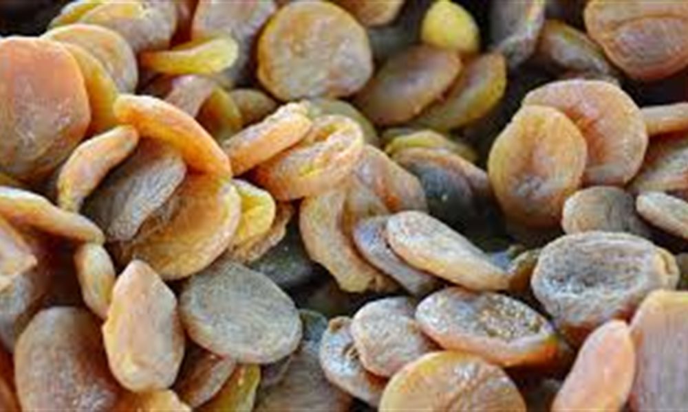 Healthy Snacks & Munchies You Can Have On The Trail