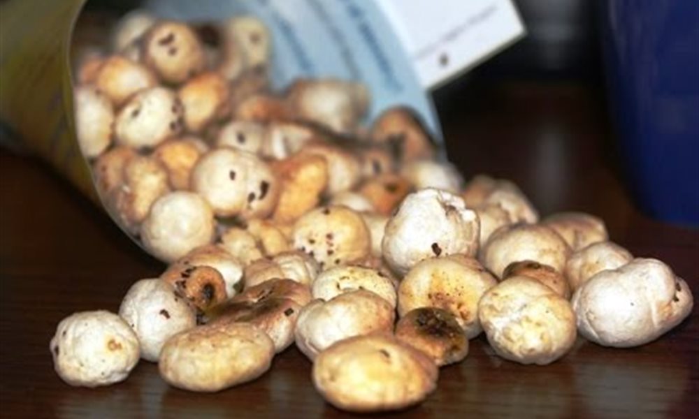 Healthy Snacks & Munchies You Can Have On The Trail