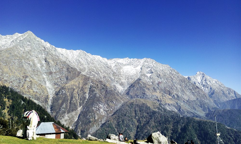 In Search Of Myself - A Photo Story About My Solo Hike To Triund--Snowline--Indrahar Pass 