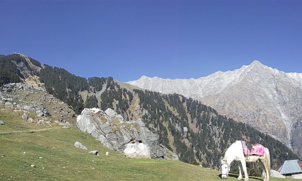 In Search Of Myself - A Photo Story About My Solo Hike To Triund--Snowline--Indrahar Pass 