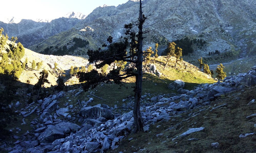 In Search Of Myself - A Photo Story About My Solo Hike To Triund--Snowline--Indrahar Pass 