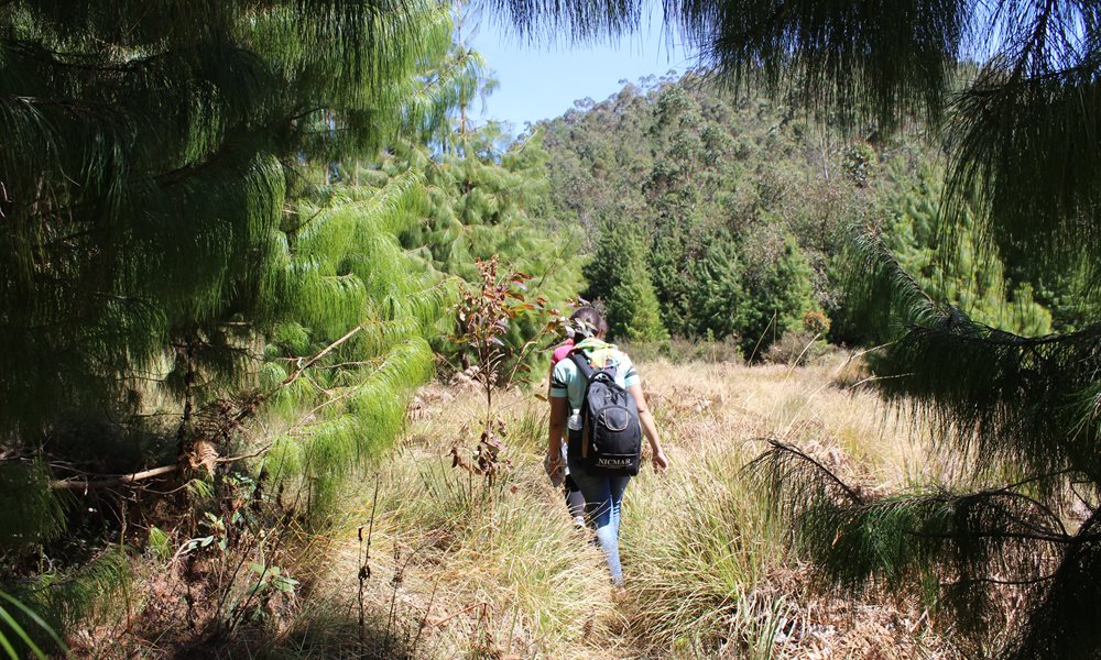 Adventure of Meesapulimala “A walk to remember”
