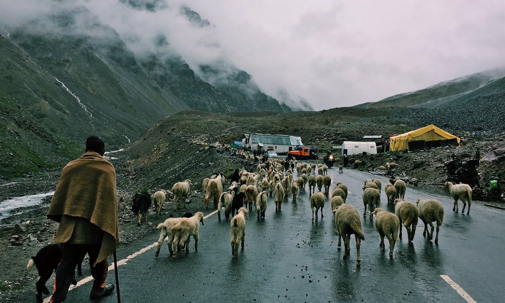 Bring It On: Manali-Leh Cycling's Toughest Challenge