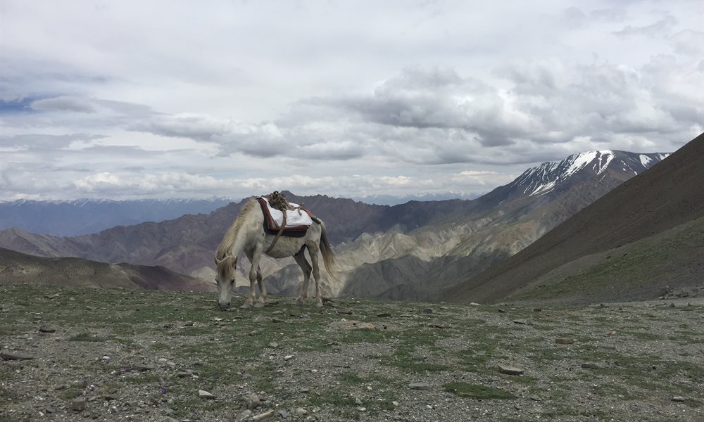 Epitome of Remoteness: Markha Valley Trek 