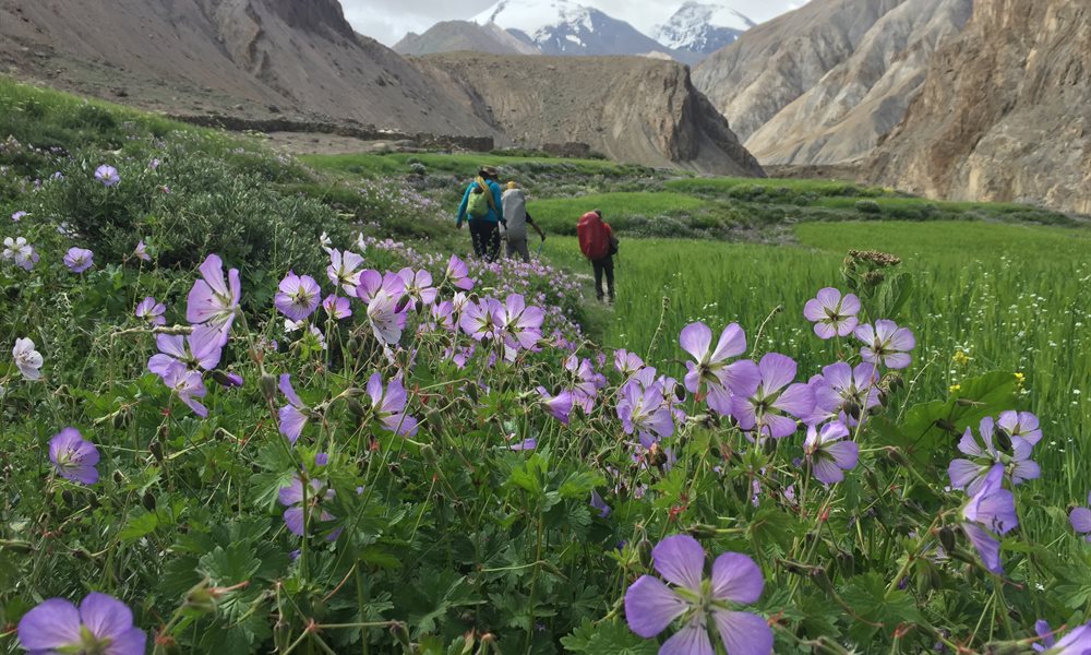 Epitome of Remoteness: Markha Valley Trek 