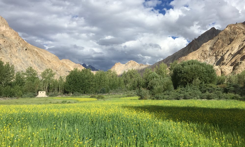 Markha Valley Trek: Your gateway to Ladakhi Culture