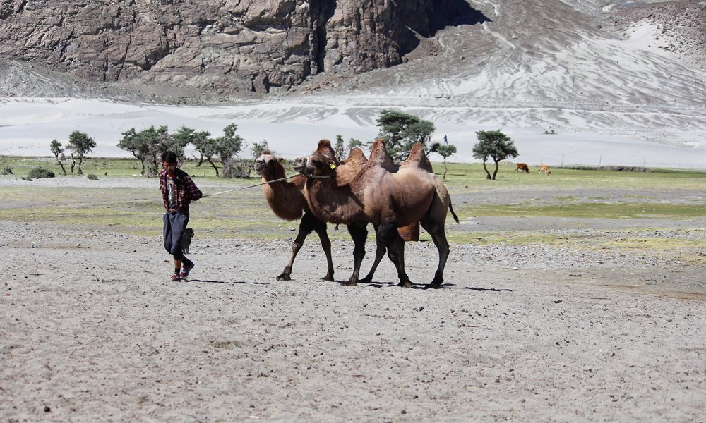The city that will touch your soul: Ladakh