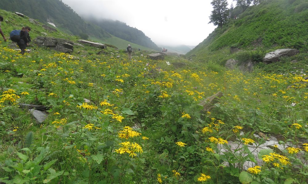12 Things You Should Look Forward To On  Your Beas Kund Trek