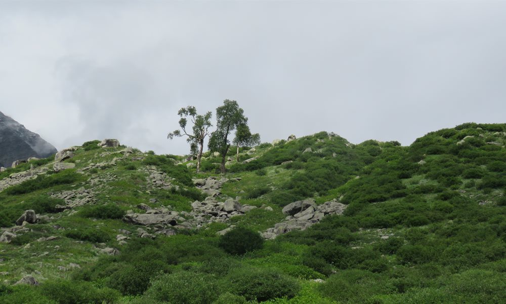 12 Things You Should Look Forward To On  Your Beas Kund Trek