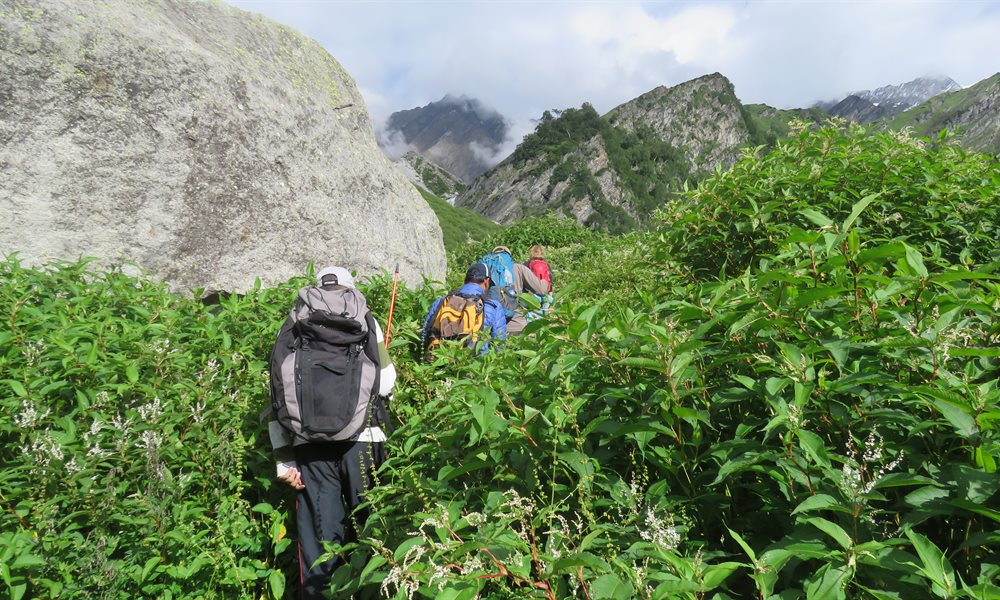 12 Things You Should Look Forward To On  Your Beas Kund Trek