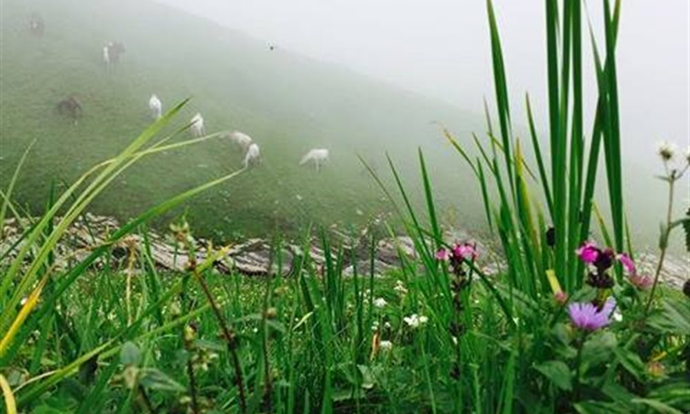 Why Post-Monsoons are a Good Time to do Trekking in the Himalayas