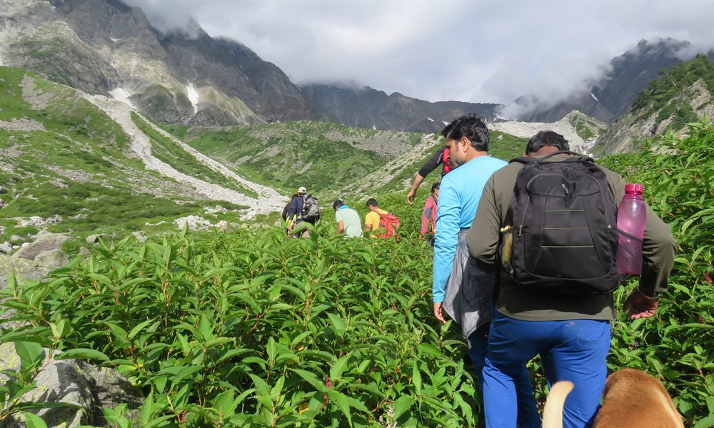 The Beautiful Himalayan Treks You Can Do This Coming Dusshera Long Weekend