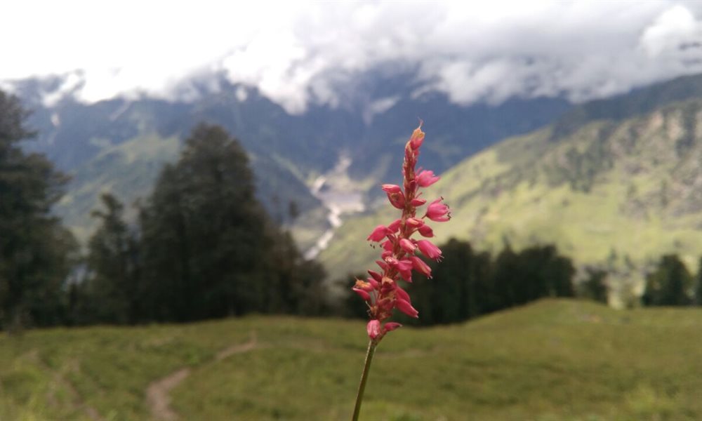 New Batches of Roopkund, Rupin and others opened: Get details about the latest treks