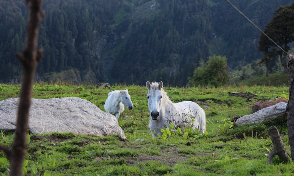 Up for a #FamilyAdventure? Check out the epic Hamta Circle trek. 