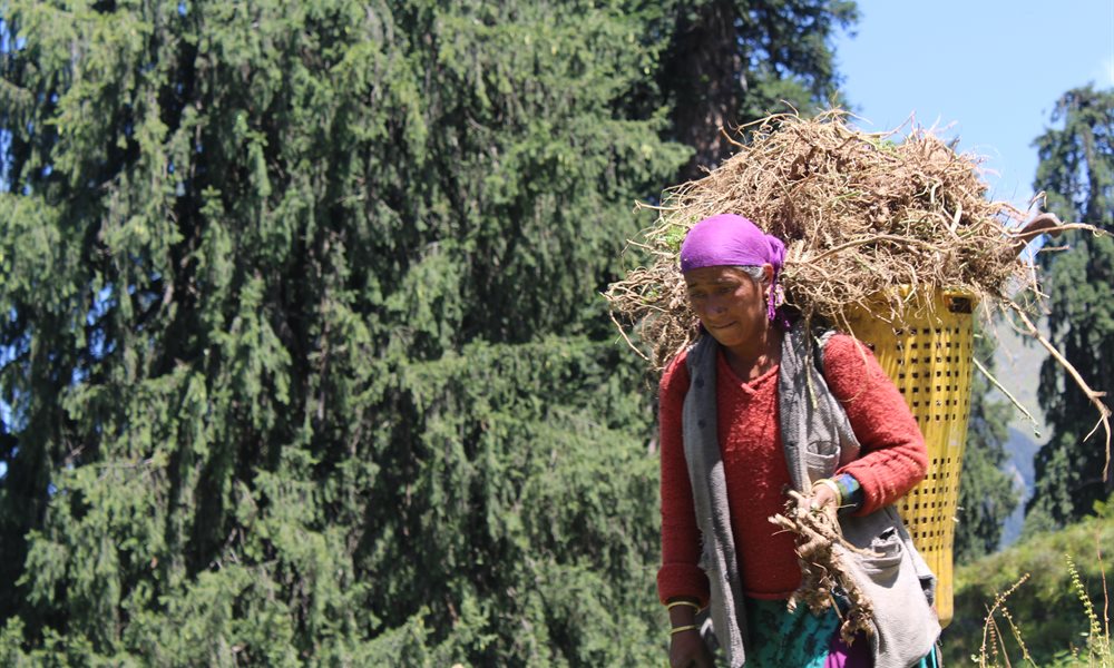 Up for a #FamilyAdventure? Check out the epic Hamta Circle trek. 