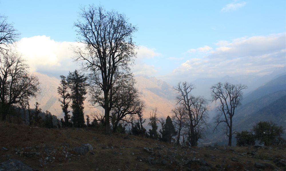 5 Days, 5 Winsome Campsites on the Kuari Pass & Pangarchula Trek