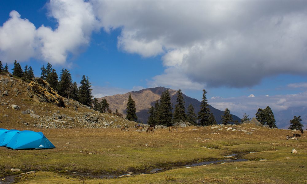 5 Days, 5 Winsome Campsites on the Kuari Pass & Pangarchula Trek