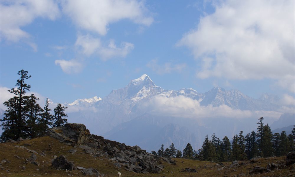 5 Days, 5 Winsome Campsites on the Kuari Pass & Pangarchula Trek