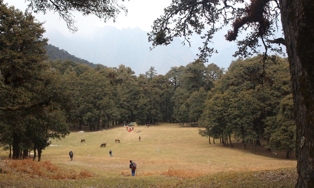 5 Days, 5 Winsome Campsites on the Kuari Pass & Pangarchula Trek