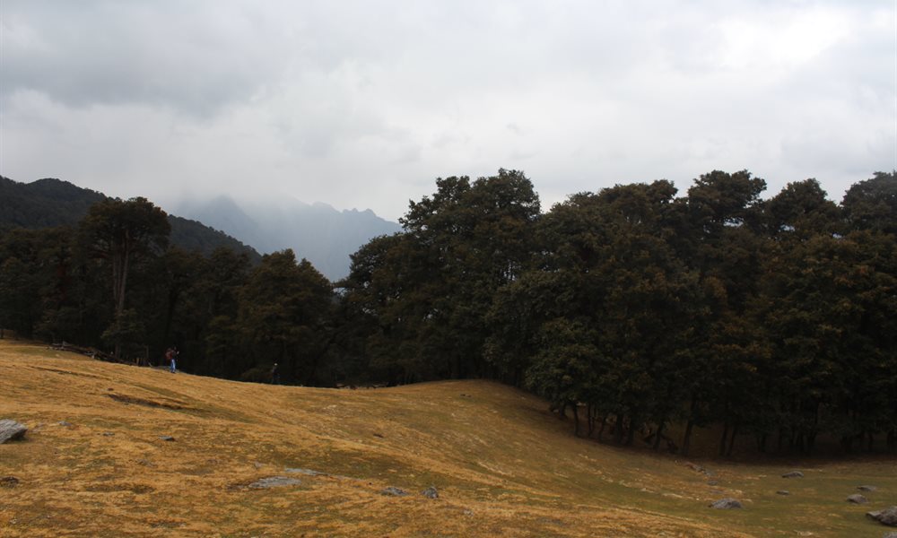 When I Discovered Why Kuari Pass is Called the Lord Curzon Trail