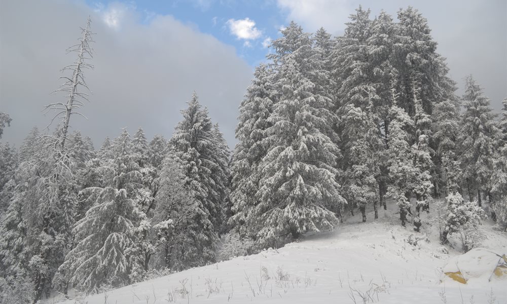 Strenuous yet Magical – Kedarkantha Trek