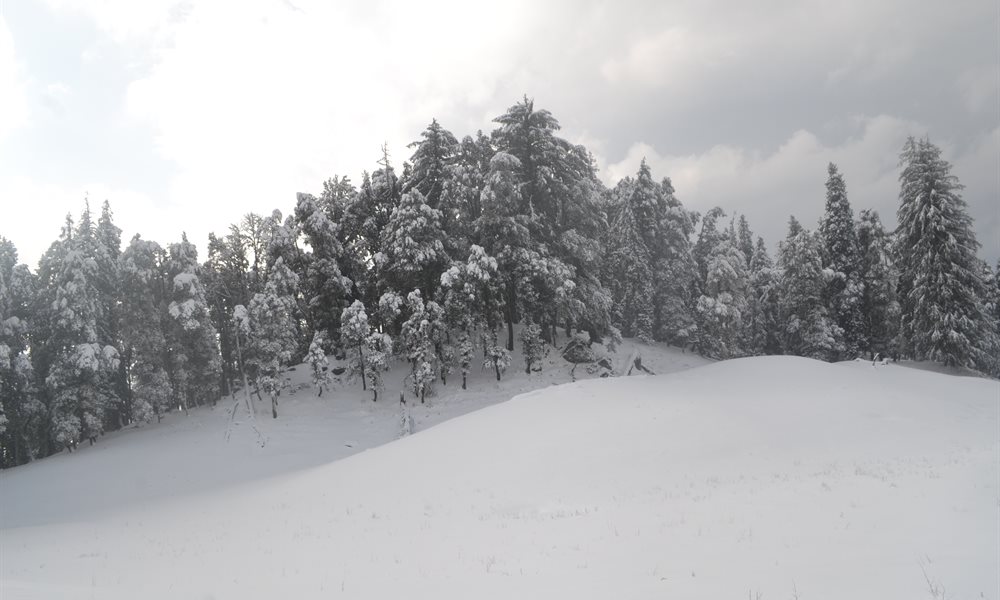 Strenuous yet Magical – Kedarkantha Trek