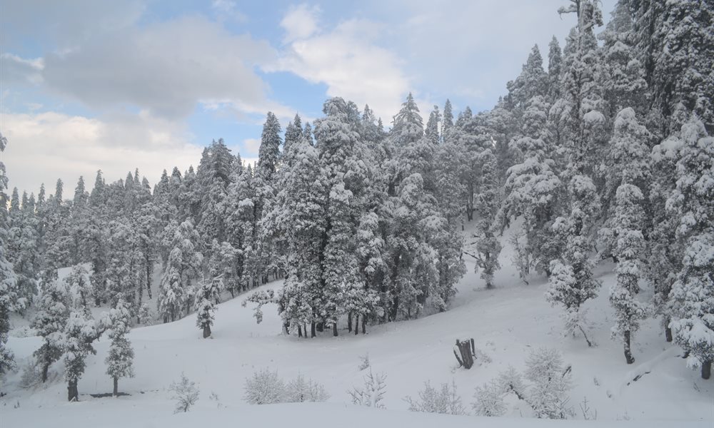 Strenuous yet Magical – Kedarkantha Trek