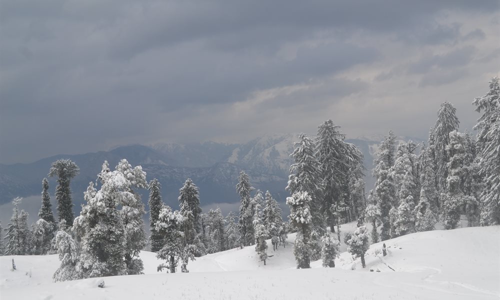 Strenuous yet Magical – Kedarkantha Trek