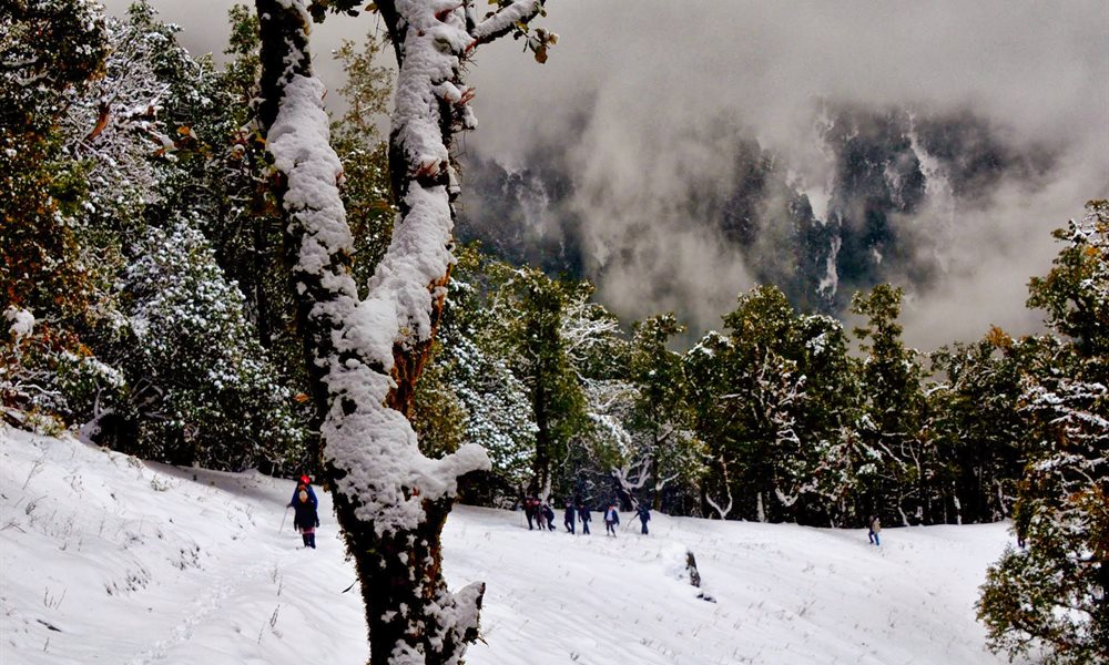 Nag Tibba: A Photo Story 
