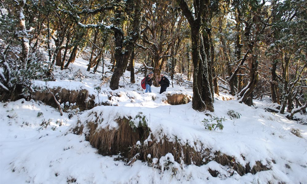 Nag Tibba: A Photo Story 