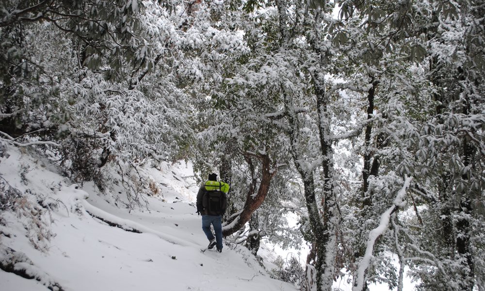 Nag Tibba: A Photo Story 
