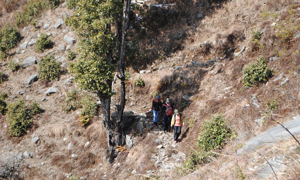 Nag Tibba: A Photo Story 