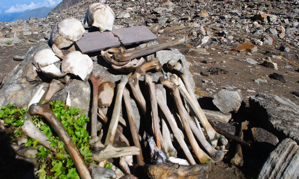Roopkund Trek Blogs