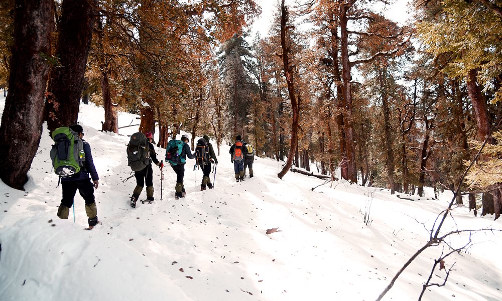 5 Reasons why Kedarkantha is my favorite winter trek