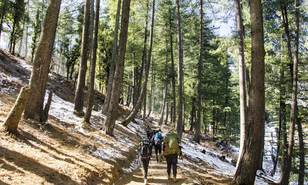 Kedarkantha Photo Story 