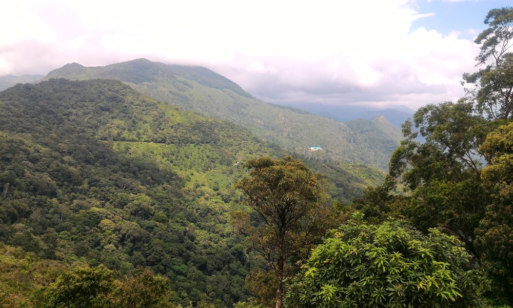 Trek to Ponmudi