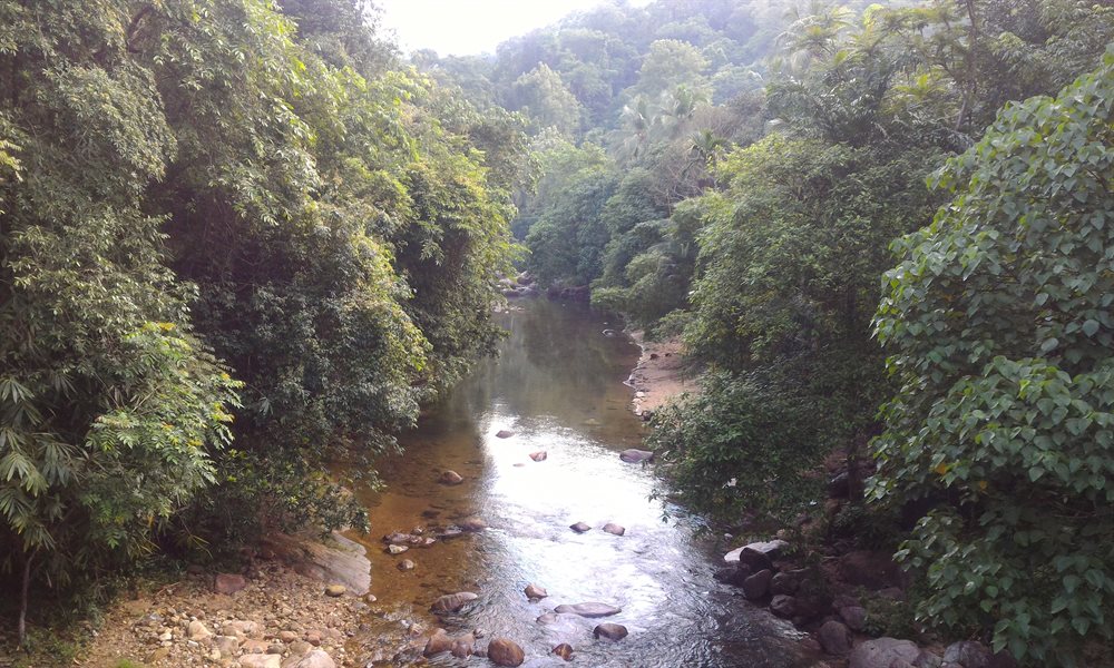 Trek to Ponmudi