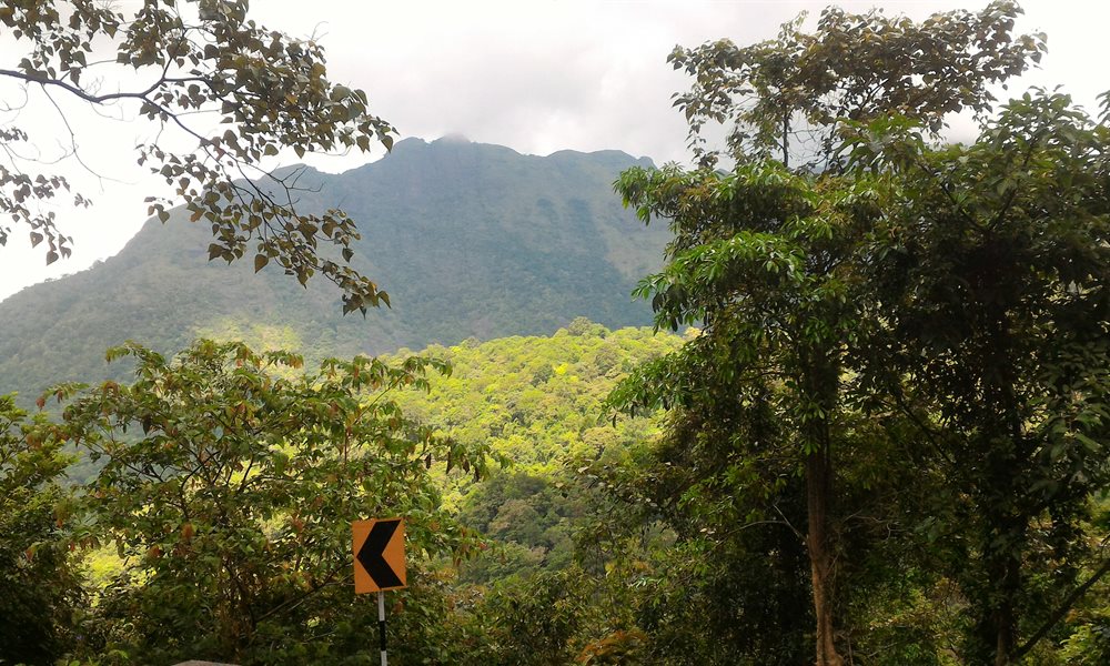 Trek to Ponmudi