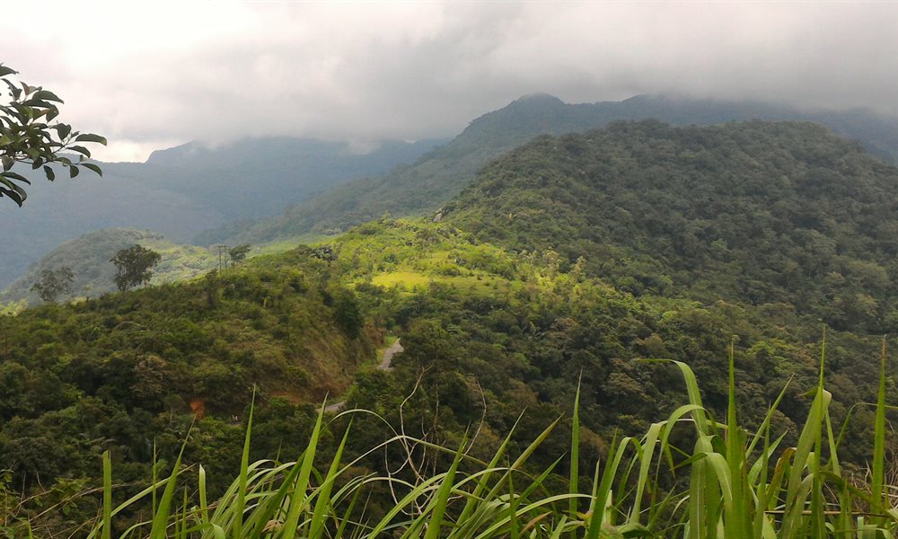 Trek to Ponmudi