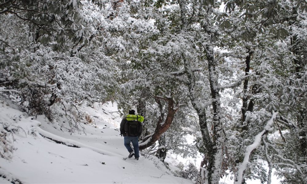Nag Tibba Trek Blogs