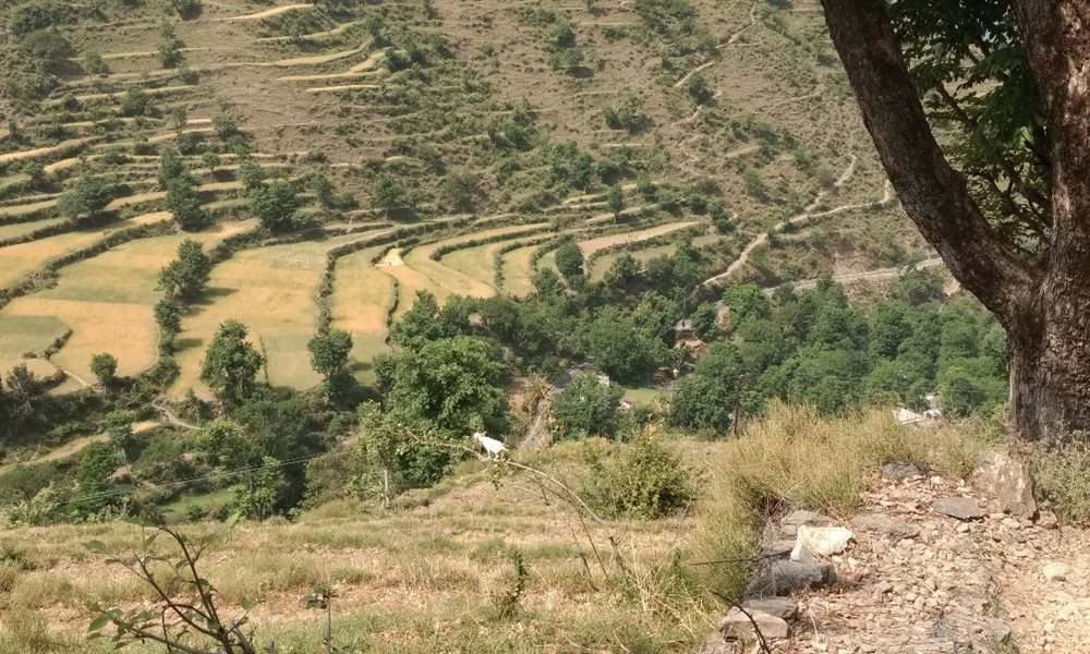 Nag Tibba Trek Blogs